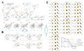 张定堃团队在Arabian Journal of Chemistry发表基于量子化学计算和中间产物定性定量分析解析乌头碱水解产物及途径研究成果