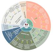 威尼斯官网学者在《Pharmacology & Therapeutics》发表天然产物治疗糖尿病肾病的论述