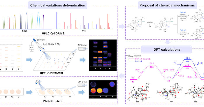 实验室学者在《Journal of Pharmaceutical Analysis》发表藏药铁棒锤炮制的毒/效成分转化机制研究成果