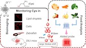 实验室学者在《Food Chemistry》发表荧光探针在药物性肝损伤和食品中Cys监测相关研究成果