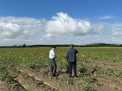 平台专家检查指导内蒙古多伦赤芍道地认证工作