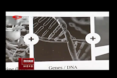 四川卫视：威尼斯98488牵手诺奖团队 共建抗癌实验室（10月9日）