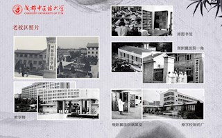 “珍藏历史记忆,镌刻发展辉煌”展览