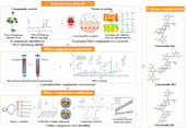 实验室在《Food Chemistry》发表基于药效团模型、系统分离与苦味示踪技术整合策略的三七苦味物质发现与验证相关研究成果