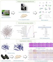 实验室在《Arabian Journal of Chemistry》发表藏药十五味赛尔斗丸重要研究成果