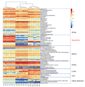 实验室在《Journal of Ethnopharmacology》发表川乌各部位代谢物分析及毒性评价的最新成果